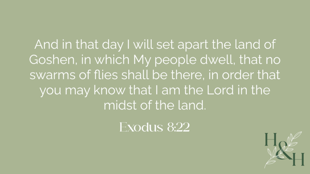 Lessons from Exodus: Hearing, Helping, and Walking Boldly with God