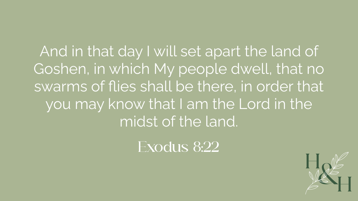 Lessons from the Plagues_ Hearing, Helping, and Walking Boldly with God. And in that day I will set apart the land of Goshen, in which My people dwell, that no swarms of flies shall be there, in order that you may know that I am the Lord in the midst of the land. - Exodus 8:22